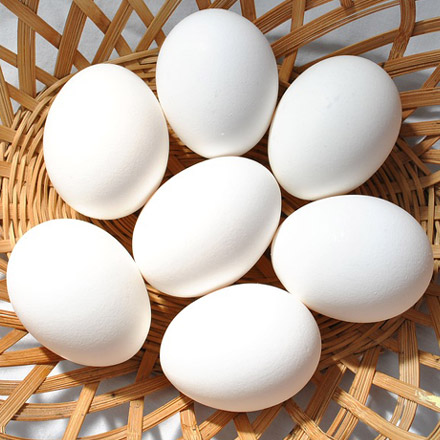 chicken-eggs.jpg