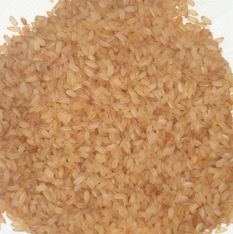 Geewin Exim - Palakkadan Matta Rice Exporters from India
