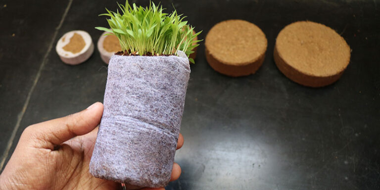 Coco Disc Manufacturers - Geewin Exim Pvt Ltd