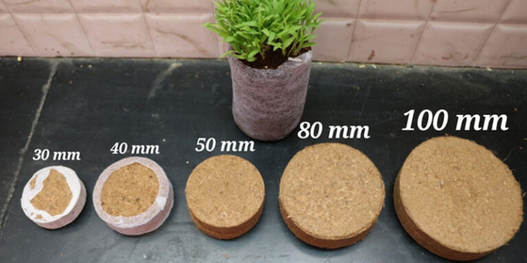 Coco Disc Manufacturers - Geewin Exim Pvt Ltd