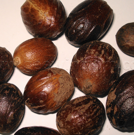 nut3