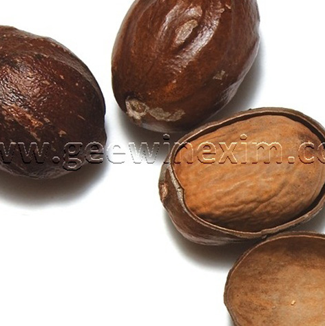 nut4