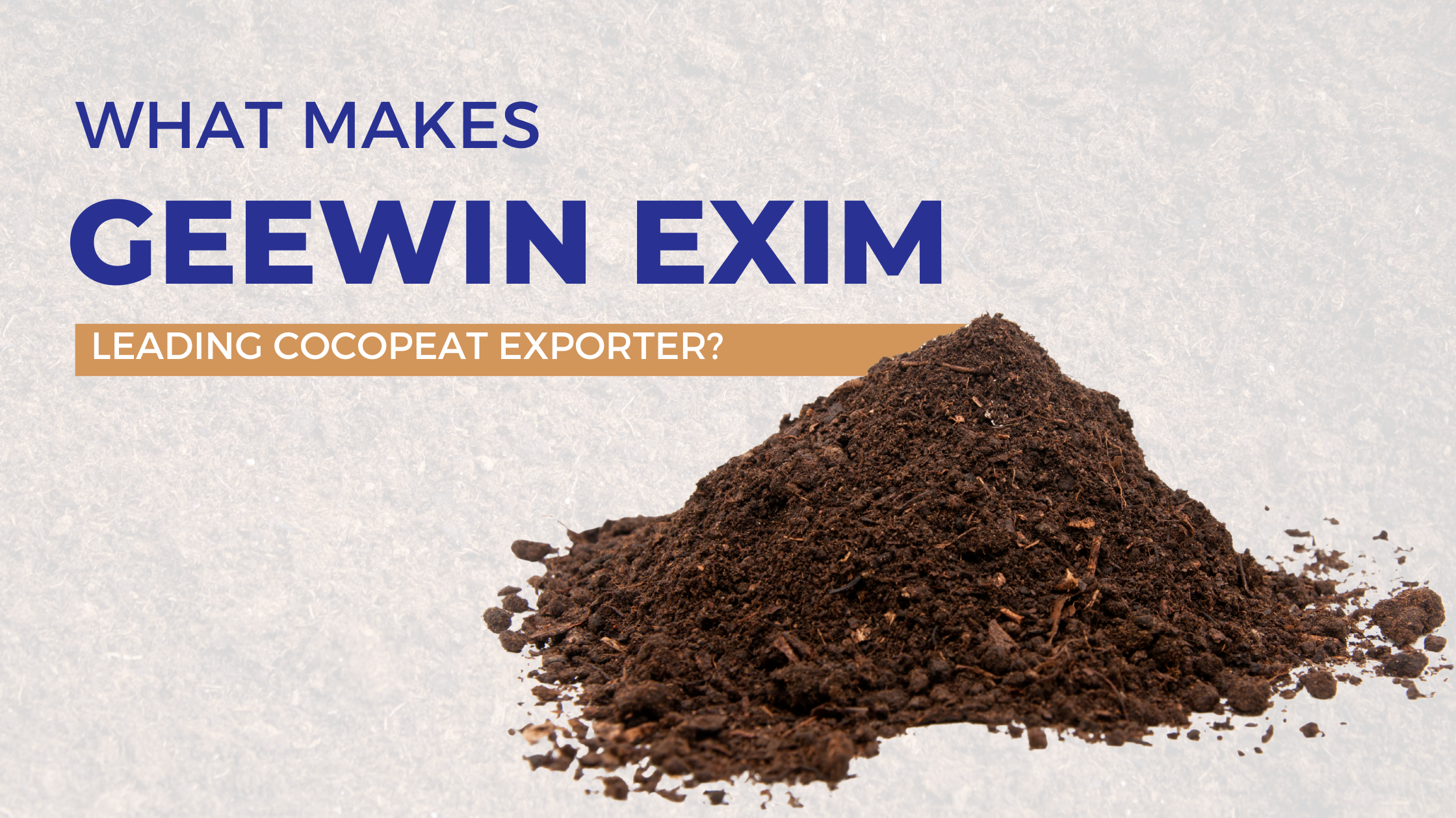 What Makes Geewin Exim a Leading Cocopeat Exporter?