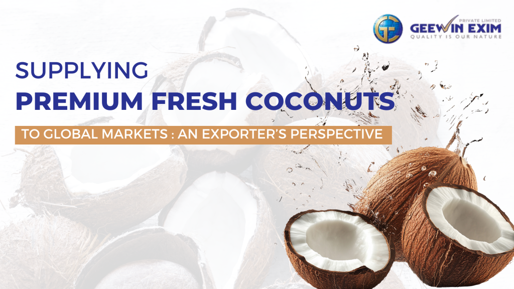 Supplying Premium Fresh Coconuts to Global Markets: An Exporter’s Perspective