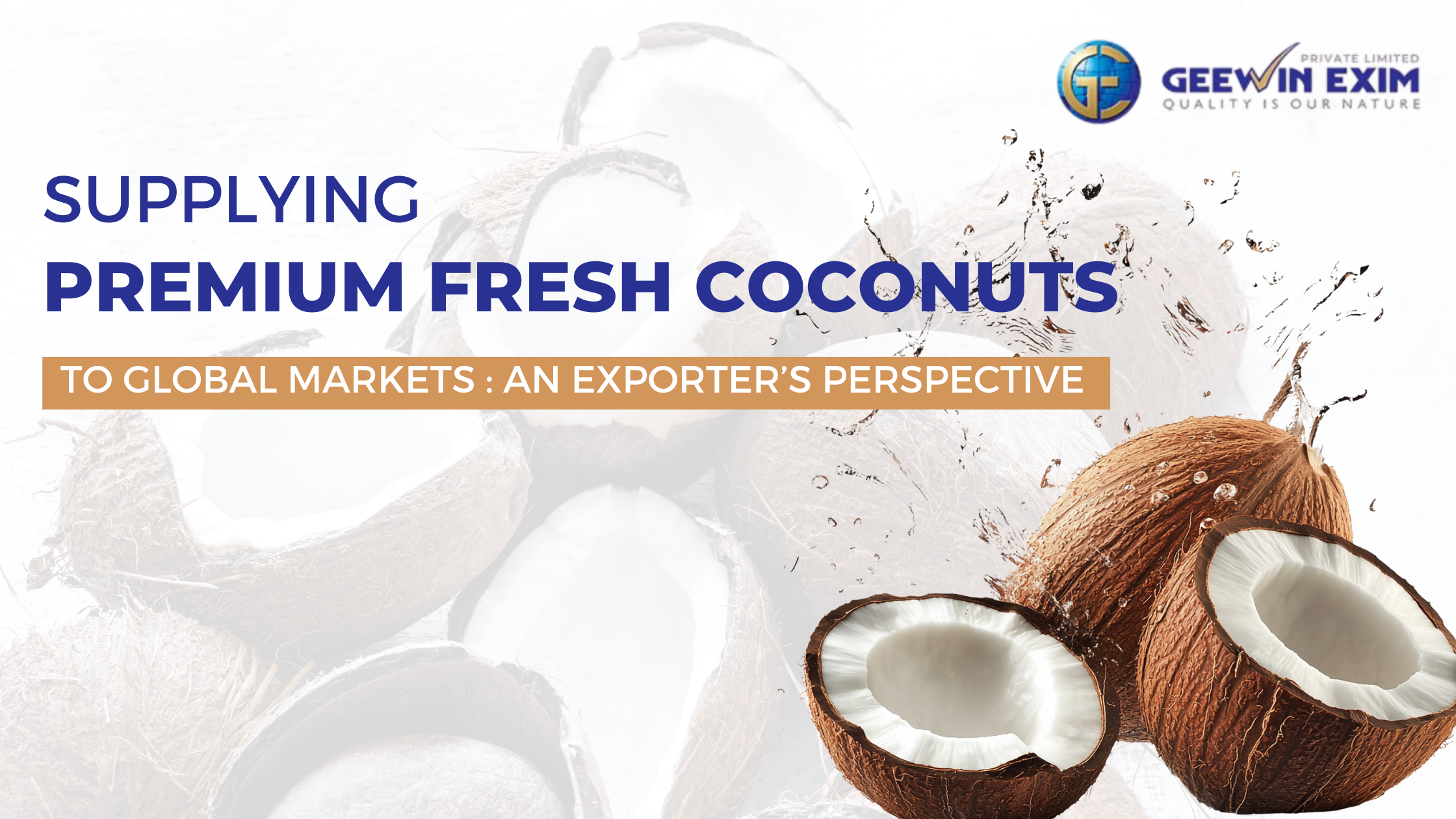 Supplying Premium Fresh Coconuts to Global Markets: An Exporter’s Perspective
