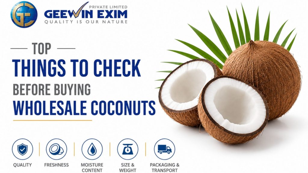 Top Things to Check Before Buying Wholesale Coconuts